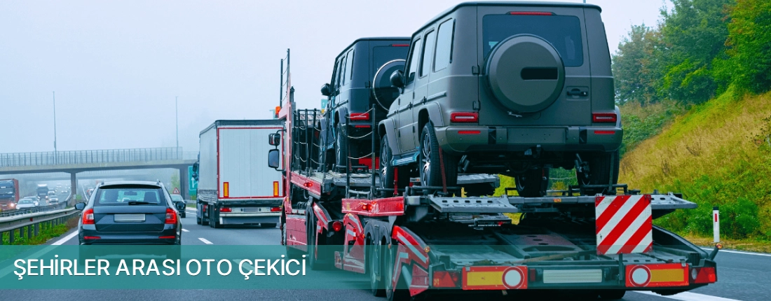 Karşıyaka İlçemi Şehirler Arası Oto Çekici